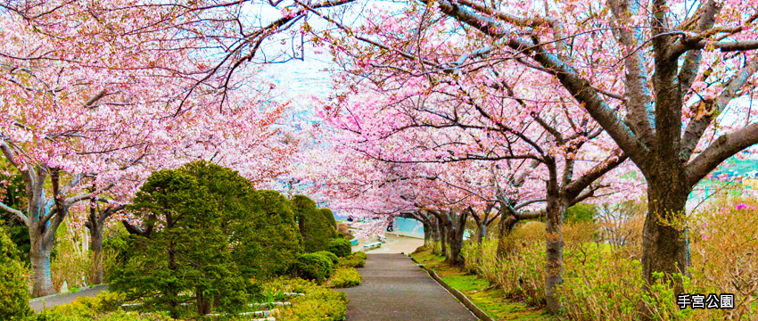 手宮公園